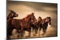 Photographic Print