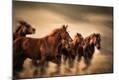 Photographic Print