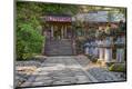 Premium Photographic Print