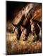 Photographic Print