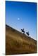 Premium Photographic Print