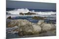 Premium Photographic Print
