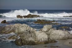 White Horses of Camargue, France, Running in Blue Mediterranean Water-Sheila Haddad-Photographic Print