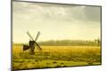 Photographic Print