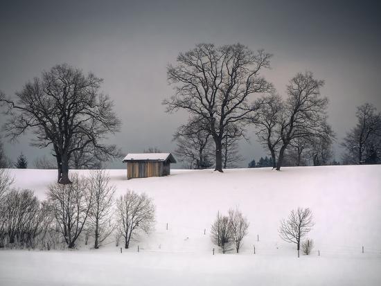 Photographic Print, , large