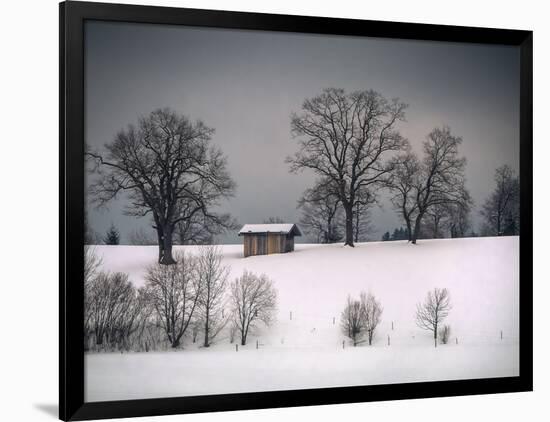 Photographic Print, , large