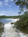 Lake Mckenzie, Fraser Island, Unesco World Heritage Site, Queensland, Australia-Sheila Terry-Photographic Print