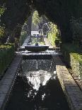 Water Channel and Fountain in the Gardens of the Generalife, Alhambra, Andalucia-Sheila Terry-Photographic Print
