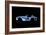 Shelby Cobra-O.M.-Framed Giclee Print