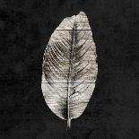 Leaf By The Spirit-Sheldon Lewis-Art Print