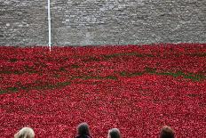 'Blood Swept Lands and Seas of Red', Tower of London, 2014-Sheldon Marshall-Photographic Print