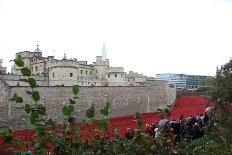 'Blood Swept Lands and Seas of Red', Tower of London, 2014-Sheldon Marshall-Framed Photographic Print