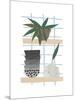 Shelf Life-Seventy Tree-Mounted Premium Giclee Print