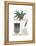 Shelf Life-Seventy Tree-Framed Premier Image Canvas