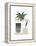 Shelf Life-Seventy Tree-Framed Premier Image Canvas