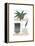 Shelf Life-Seventy Tree-Framed Premier Image Canvas