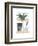 Shelf Life-Seventy Tree-Framed Giclee Print