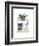 Shelf Life-Seventy Tree-Framed Giclee Print