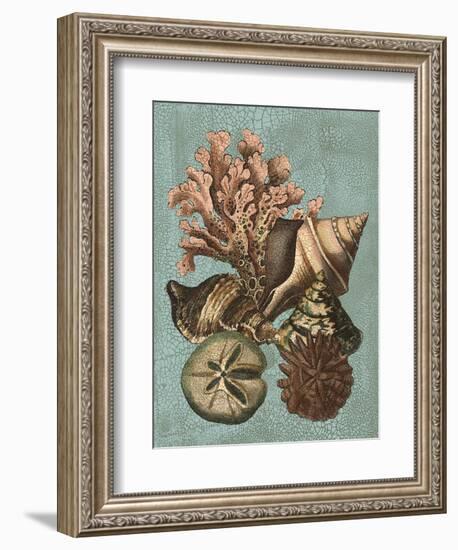 Shell and Coral on Aqua I-Vision Studio-Framed Art Print