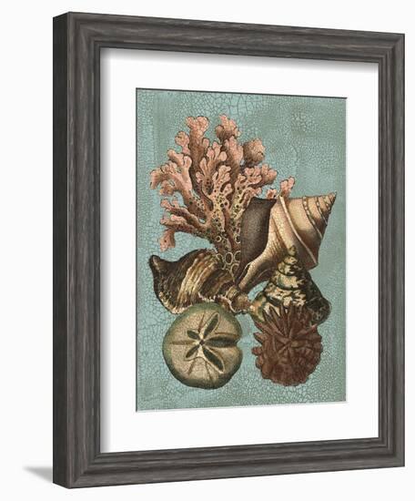 Shell and Coral on Aqua I-Vision Studio-Framed Art Print