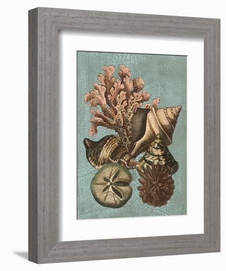 Shell and Coral on Aqua I-Vision Studio-Framed Art Print