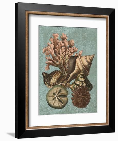 Shell and Coral on Aqua I-Vision Studio-Framed Art Print