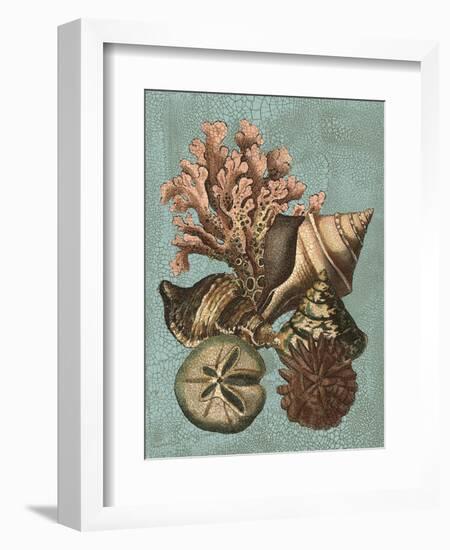 Shell and Coral on Aqua I-Vision Studio-Framed Art Print