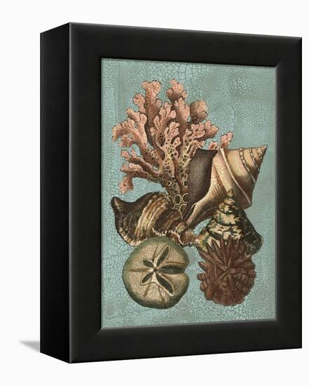 Shell and Coral on Aqua I-Vision Studio-Framed Stretched Canvas