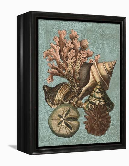 Shell and Coral on Aqua I-Vision Studio-Framed Stretched Canvas