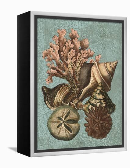 Shell and Coral on Aqua I-Vision Studio-Framed Stretched Canvas