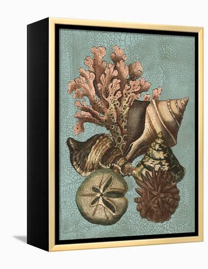 Shell and Coral on Aqua I-Vision Studio-Framed Stretched Canvas