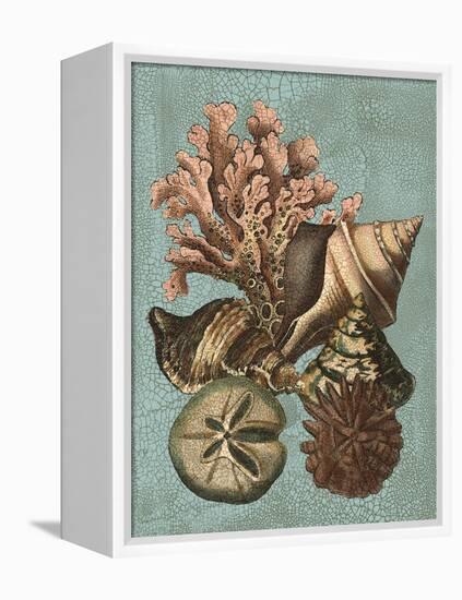 Shell and Coral on Aqua I-Vision Studio-Framed Stretched Canvas