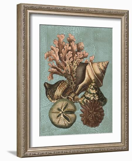 Shell and Coral on Aqua I-Vision Studio-Framed Art Print