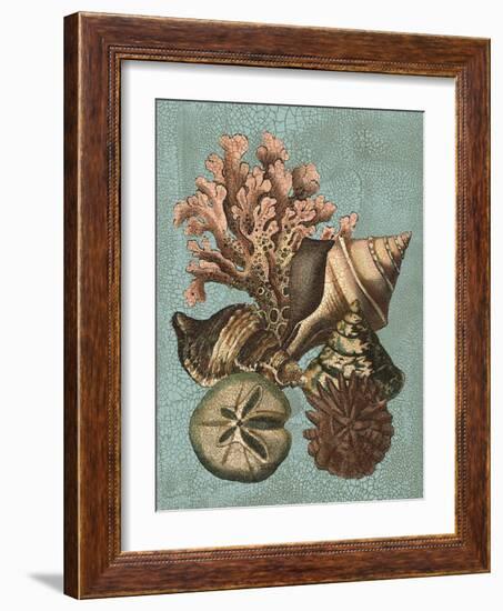 Shell and Coral on Aqua I-Vision Studio-Framed Art Print