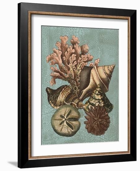 Shell and Coral on Aqua I-Vision Studio-Framed Art Print