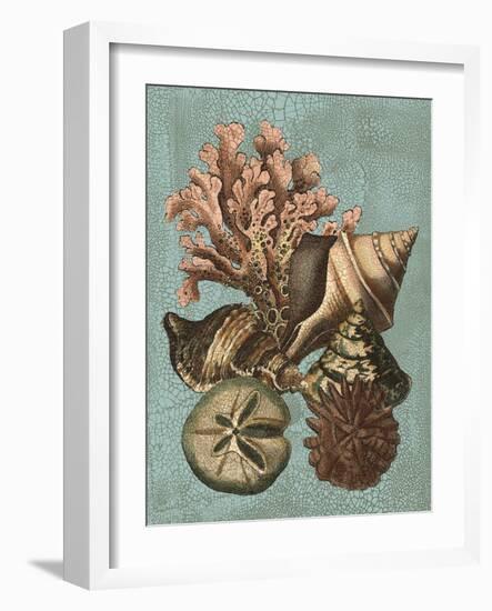 Shell and Coral on Aqua I-Vision Studio-Framed Art Print