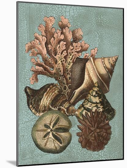 Shell and Coral on Aqua I-Vision Studio-Mounted Art Print