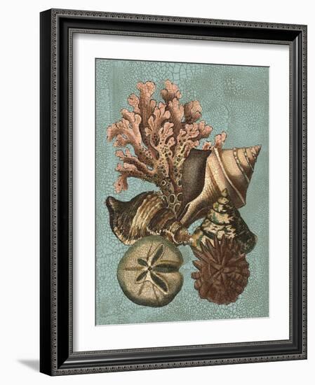 Shell and Coral on Aqua I-Vision Studio-Framed Art Print