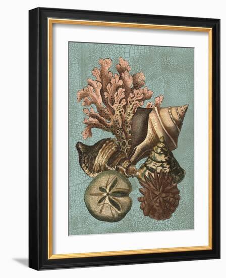 Shell and Coral on Aqua I-Vision Studio-Framed Art Print