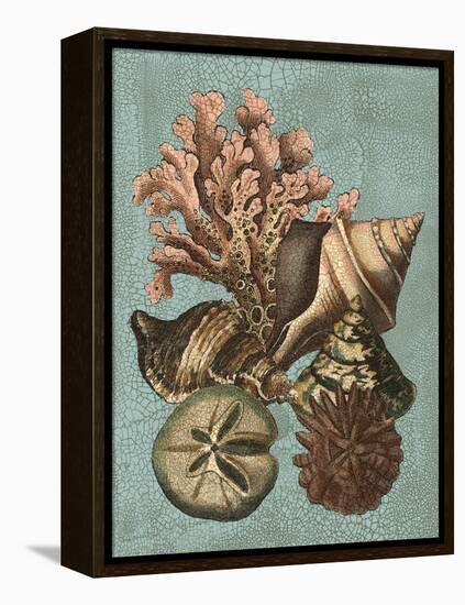 Shell and Coral on Aqua I-Vision Studio-Framed Stretched Canvas