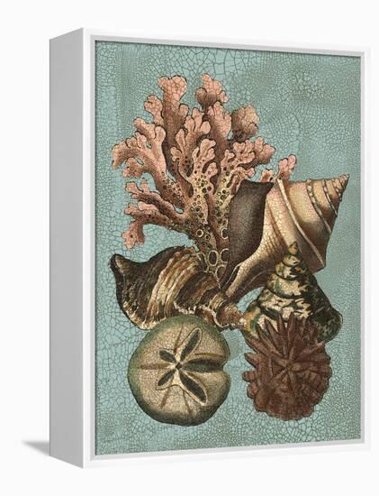 Shell and Coral on Aqua I-Vision Studio-Framed Stretched Canvas