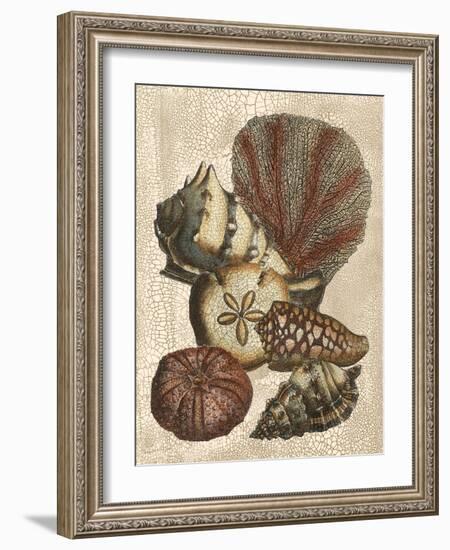 Shell and Coral on Cream II-Vision Studio-Framed Art Print