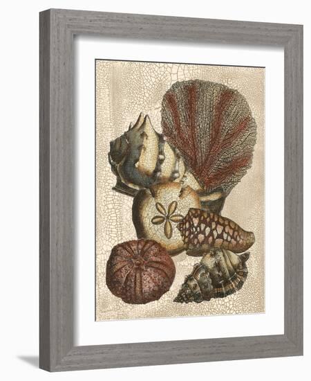 Shell and Coral on Cream II-Vision Studio-Framed Art Print