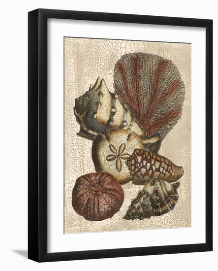 Shell and Coral on Cream II-Vision Studio-Framed Art Print