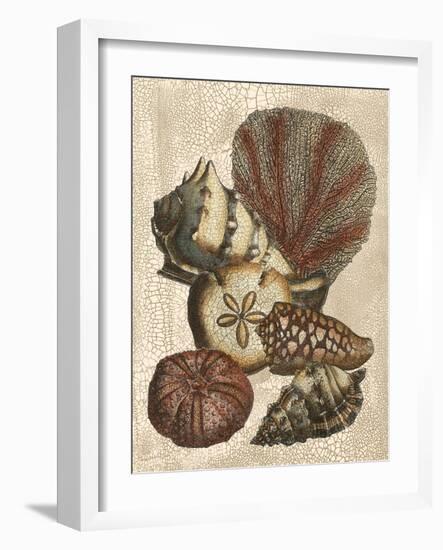 Shell and Coral on Cream II-Vision Studio-Framed Art Print