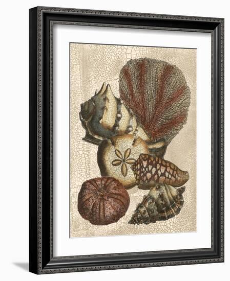 Shell and Coral on Cream II-Vision Studio-Framed Art Print