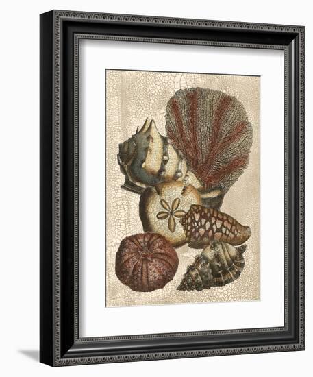 Shell and Coral on Cream II-Vision Studio-Framed Art Print