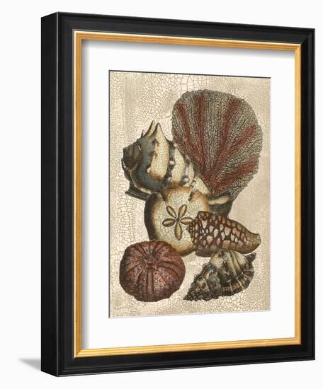 Shell and Coral on Cream II-Vision Studio-Framed Art Print