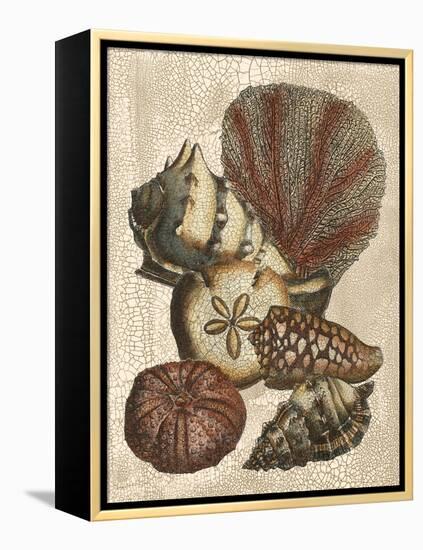 Shell and Coral on Cream II-Vision Studio-Framed Stretched Canvas