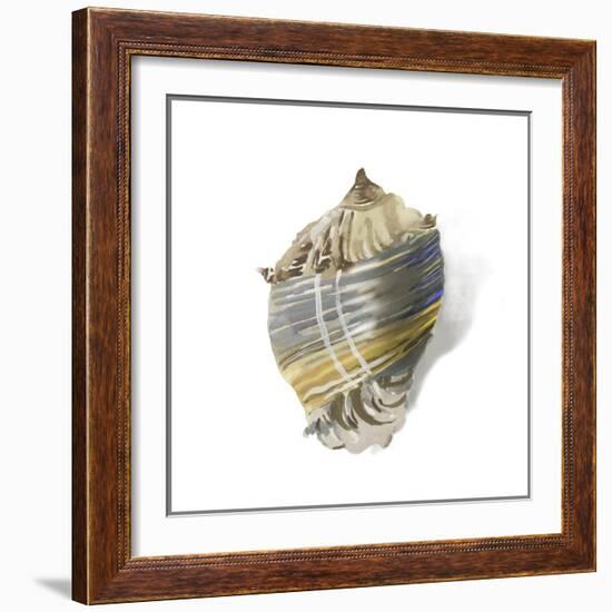 Shell Ashore-Aimee Wilson-Framed Art Print